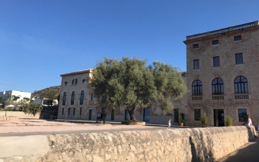 Green Valley,Son Vida,Montessori Philosophie