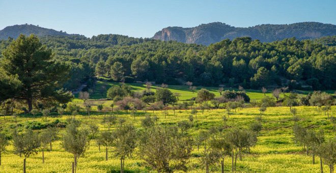 properties in calvia,real estate calvia,real estate mallorca,calvia real estate,es capdella real estate,house for sale calvia,house for sale es capdella,mallorca real estate,Properties for sale Calvia,villa for sale Calvia,mallorca magazin,finca for sale mallorca,finca for sale Calvia,luxury real estates Calvia,apartment for sale Calvia,villa for sale mallorca,house to buy Calvia