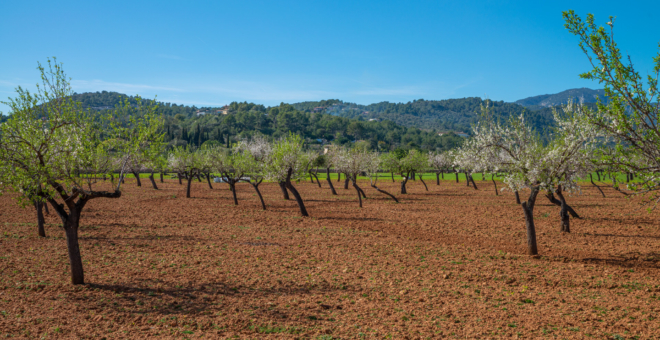 immobilien Bunyola,haus kaufen Bunyola,immobilien mallorca,villa kaufen Bunyola,mallorca magazin,finca kaufen mallorca,finca kaufen Bunyola,luxusimmobilien Bunyola,immobilienmakler Bunyola,wohnung kaufen Bunyola,villa kaufen mallorca,immobilien kaufen Bunyola