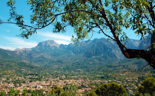 immobilien mallorca real estate soller inmobiliaria soller real estate properties for sale private property mallorca