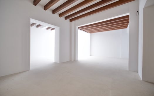 5065-121 Luxuriös renoviertes Erdgeschoß Loft in Palma zum bewohnen, mit Option auf eine Gewerbegenehmigung 5