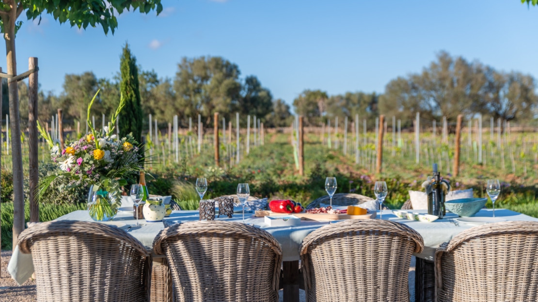 5080 Imposante Luxus Finca in Porreres mit Olivenbaum-Plantage, Weinberg und absoluter Privatsphäre 5