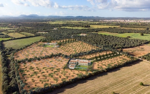 F-4629 Außerordentliche Finca in Campos mit eigenem Weinberg, Gästehaus und Fernblick