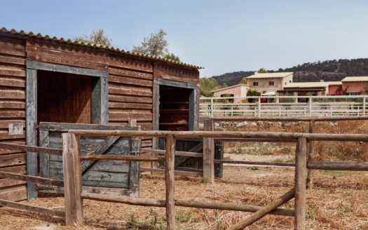 F-842 Imposante Finca in Calvia mit Gästehaus, Pool, Pferdekoppel und Privatsphäre