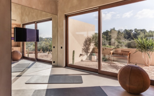 5232 Finca in Son Gual 3