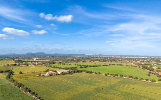 5208 Naturstein-Finca in Campos mit Weingut und einzigartigem Charme