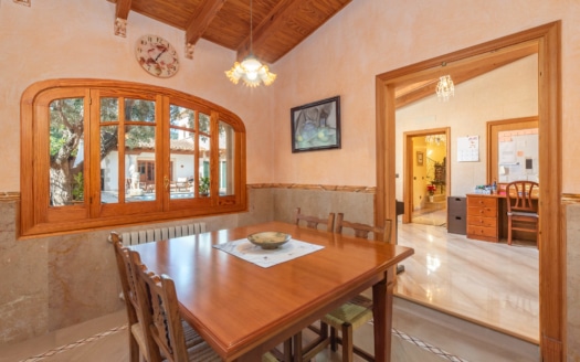 4352- Finca in Capdella32