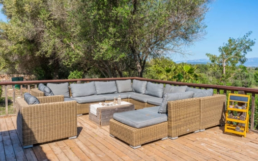 5256 Finca Algaida6