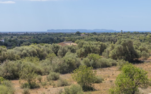 5012 Moderne Finca in Ses Salines mit lukrativer Ferienvermietungslizenz und hoher Rendite