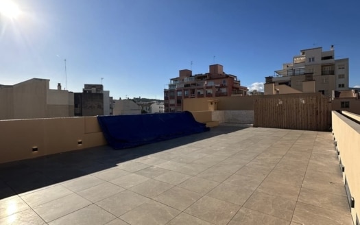 P-3195 Duplex Penthouse in Santa Catalina 15