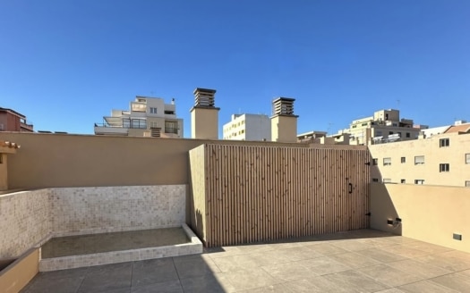 P-3195 Duplex Penthouse in Santa Catalina 7