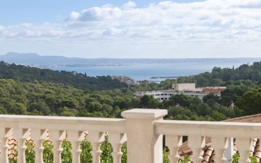 4769 Villa in Genova