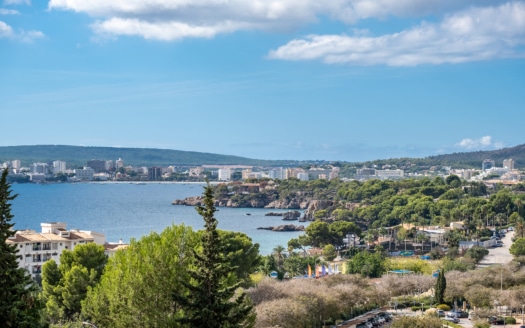 5163 Apartment in Portals Nous