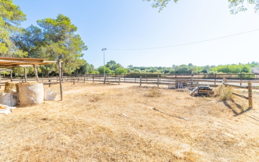 5290 - Finca with stables in Algaida5