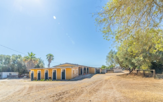 5290 - Finca with stables in Algaida29