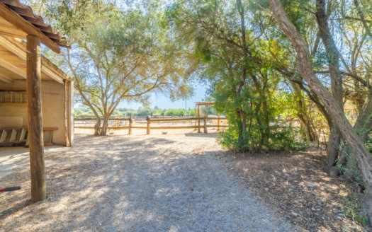 5290 - Finca with stables in Algaida3