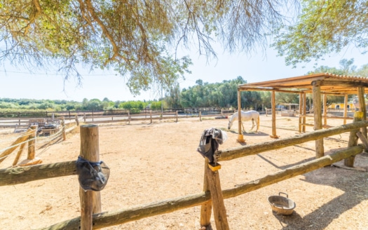 5290 - Finca with stables in Algaida4