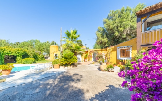 5290 - Finca with stables in Algaida16