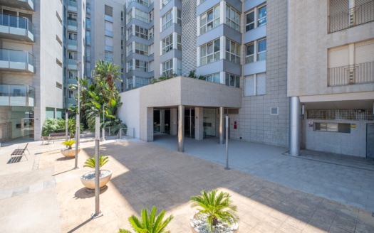 5311 - Apartment in Portixol16