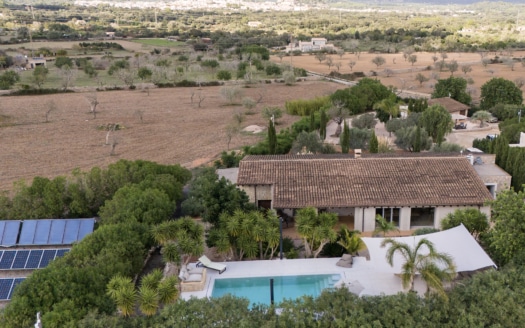 5387 - Villa in Arta