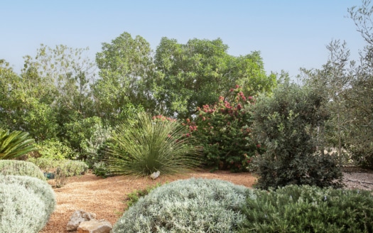 5387 - Villa in Arta