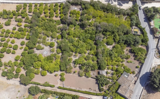 IF-4755 INVESTITION! Finca auf großem Grundstück mit Obstbäumen und viel Potenzial in Soller