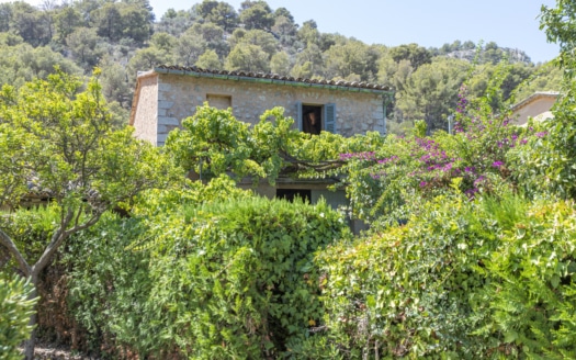 IF-4755 INVESTITION! Finca auf großem Grundstück mit Obstbäumen und viel Potenzial in Soller