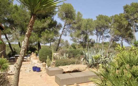 5159 Finca in L'Alqueria Blanca