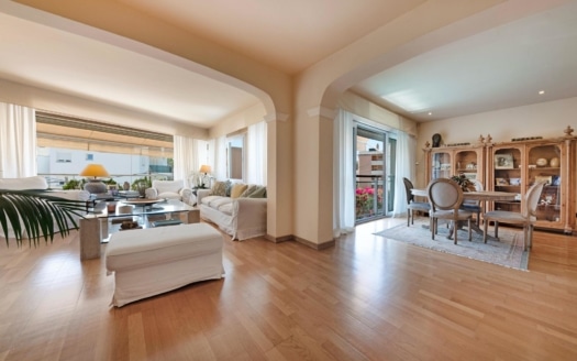 5251- Apartment in San Augustin 3