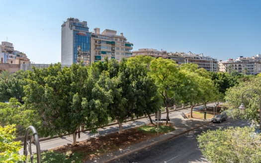 5297 - Apartment Paseo Mallorca15