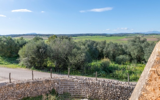 5209- Finca in Vilafranca De Bonany29