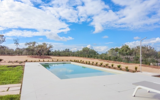 5229 - Villa in Son Gual14