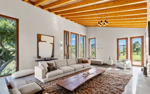 5462- Villa in Es Carritxo32