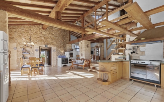 PPM_Sant_Llorenc_ (14)