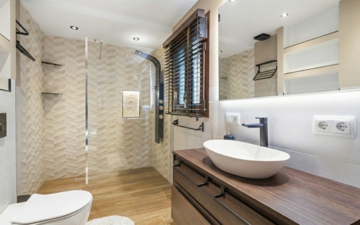 genai_image_266eefcc44524a81adee28c606b3c879_1764585910_00001