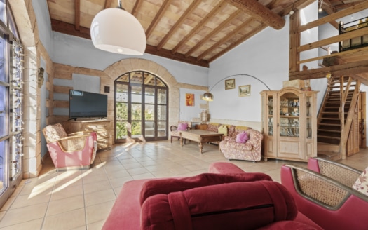 PPM_Sant_Llorenc_ (17)