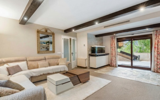 genai_image_1e5fbfc1568646bcbee0fa652156b57c_1764585985_00001