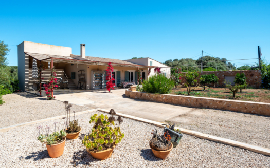 4730  -Villa in Sa Rapita8