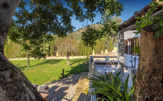 5517 - Villa in Calvia 39