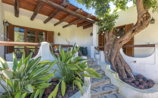 5517 - Finca in Calvia 13