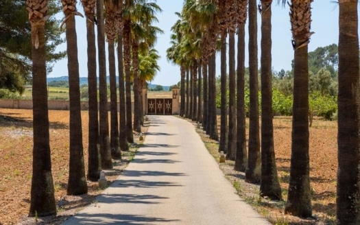 F-4418 Mediterrane Finca auf großem Grundstück, viel Potenzial und herrlichem Bergblick am Rande von Algaida