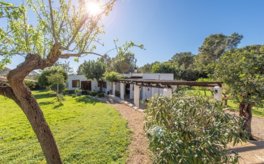 5517 - Finca in Calvia 2