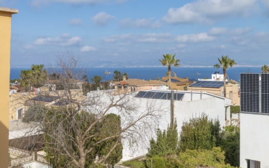 5556 - Villa in Bahia Blava 18