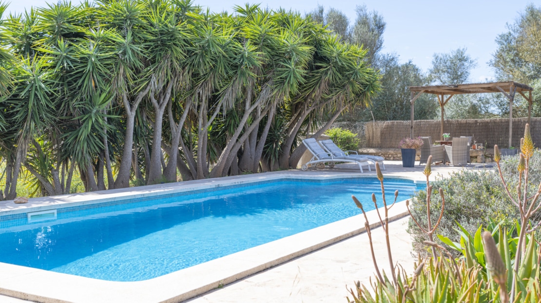F-4545 Finca in Porreres mit Ferienvermietungslizenz, Privatsphäre UND eigenem Weinberg