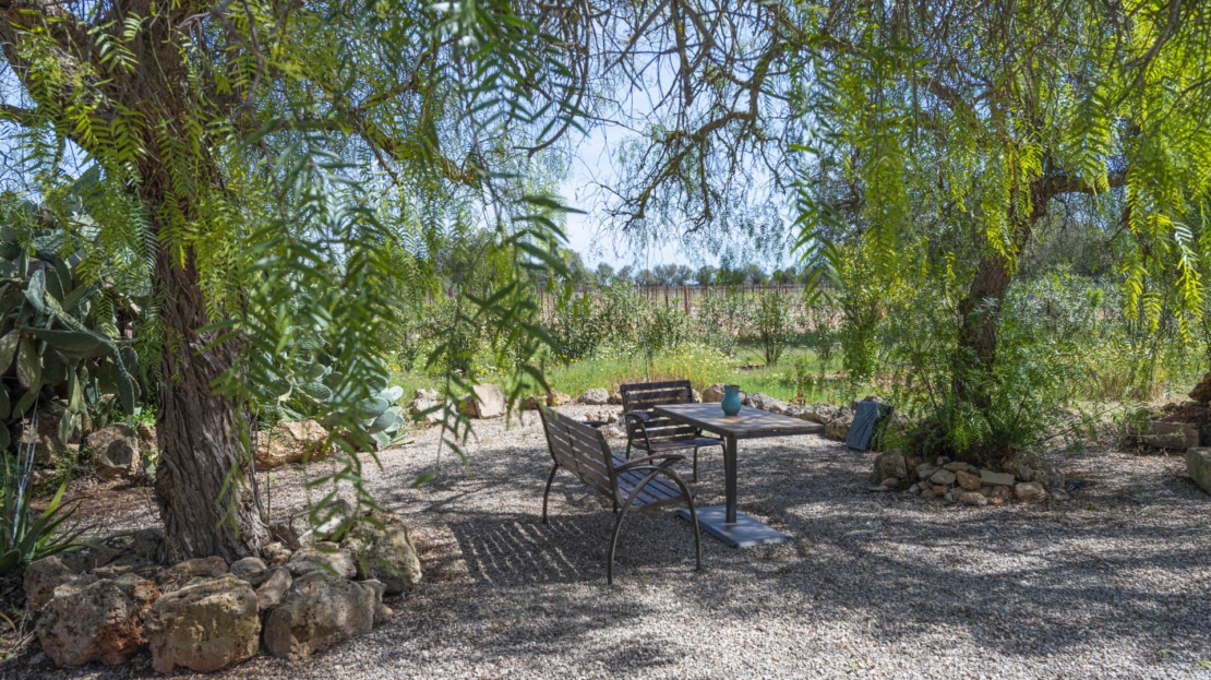 F-4545 Finca in Porreres mit Ferienvermietungslizenz, Privatsphäre UND eigenem Weinberg