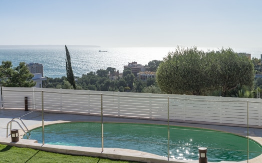 5505 - Villa in Cas Catala28