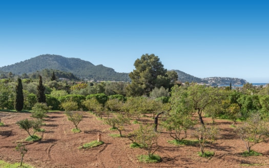 5507 - Villa in Port Andratx 30