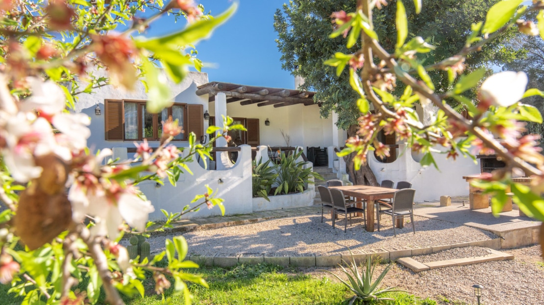 5517 - Finca in Calvia 7