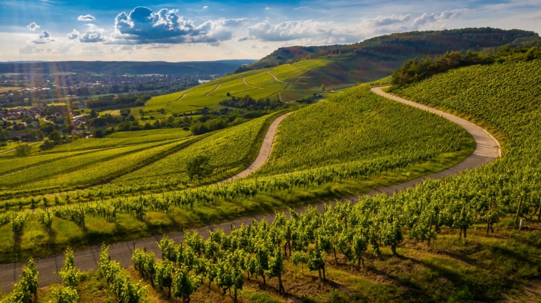 beautiful-view-vineyard-green-hills-sunset