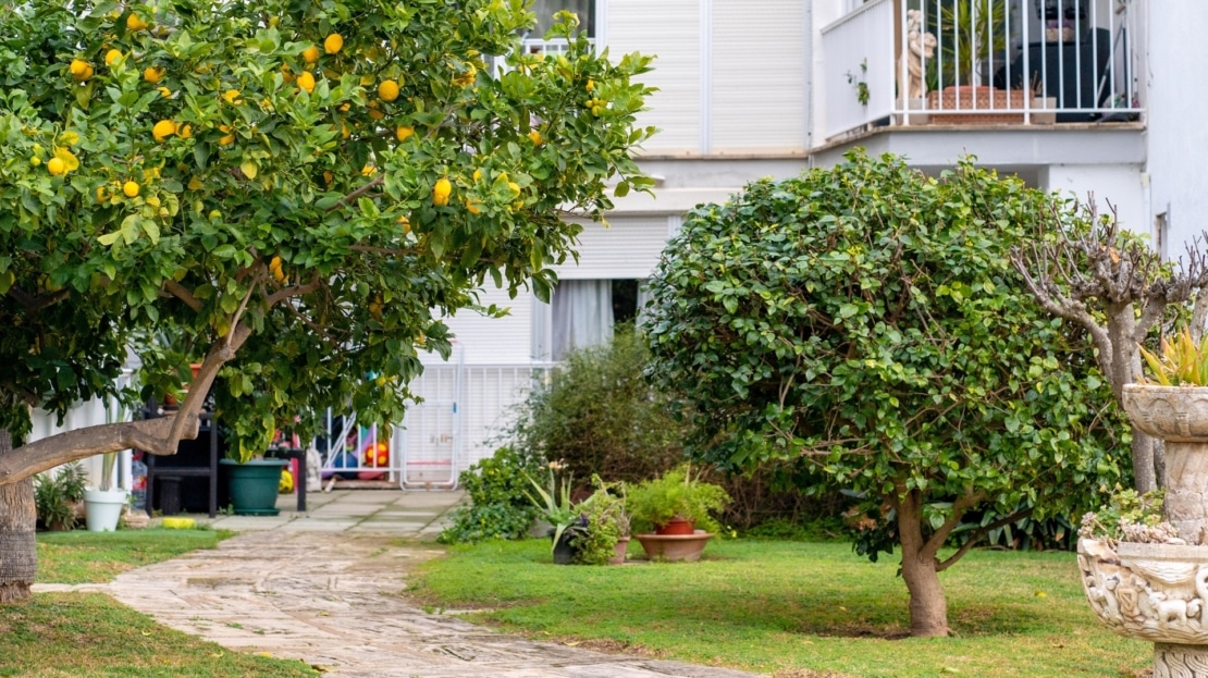 5079Charmante Erdgeschosswohnung in Santa Ponsa komplett renoviert 18